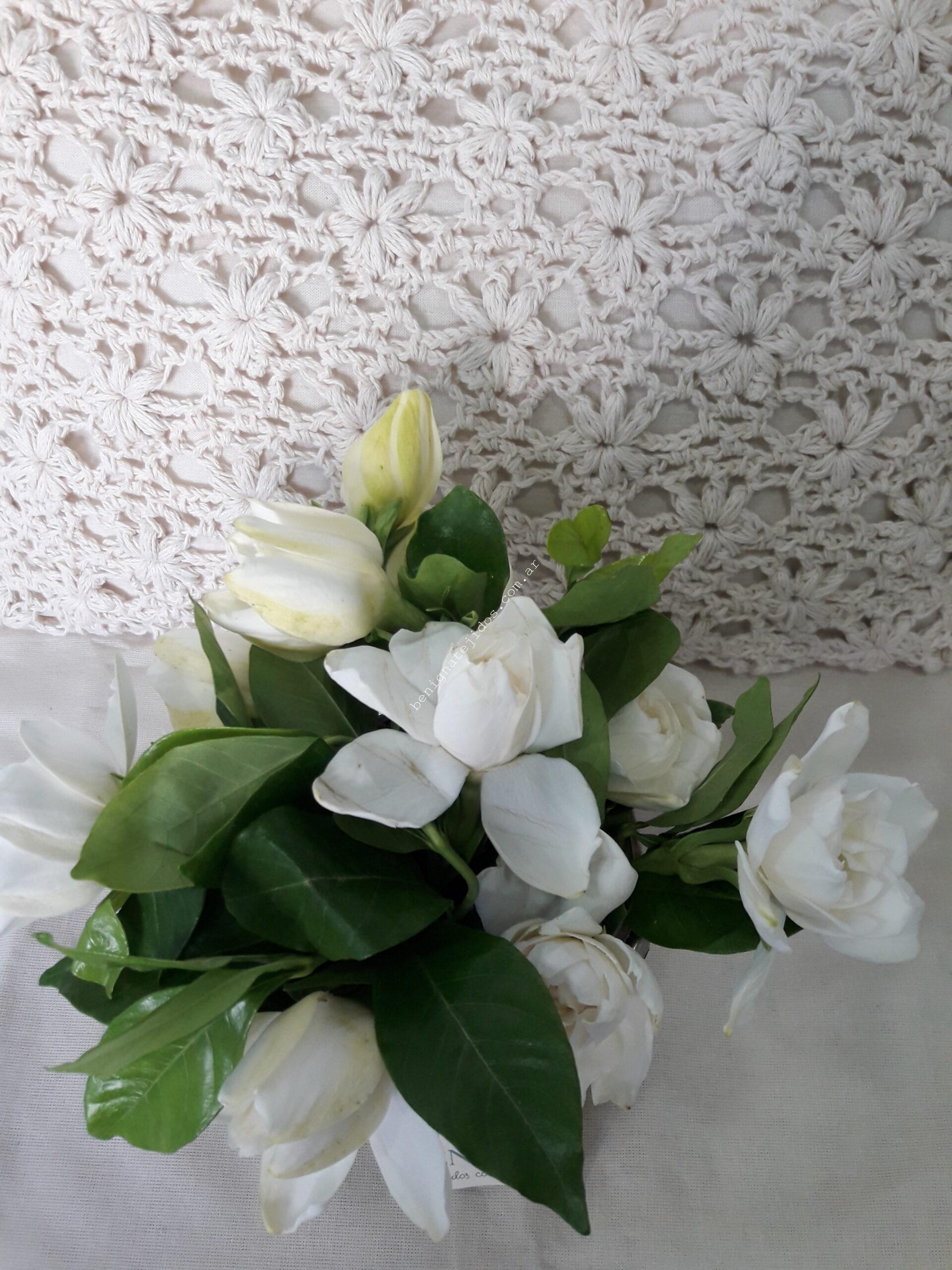 Funda Almohadón JAZMIN-DISPONIBLE - Imagen 3